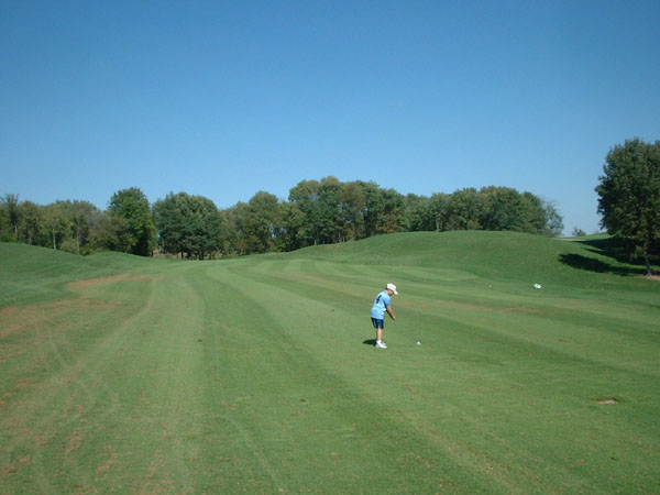 Brian Wood making a shot from the fairway.jpg 58.5K